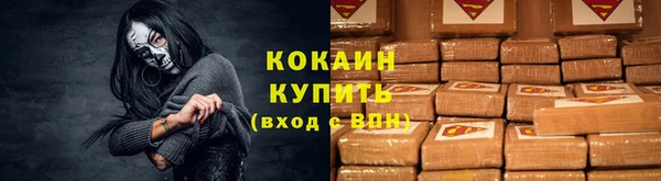 гашик Бородино