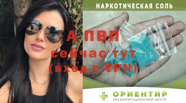 гашик Бородино