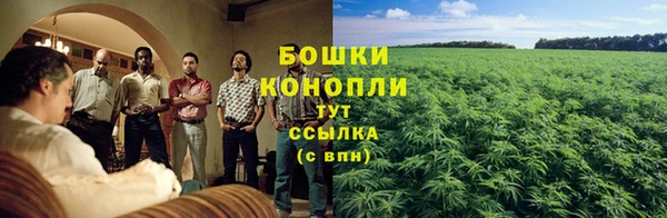 гашик Бородино