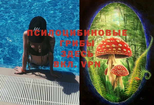 гашик Бородино
