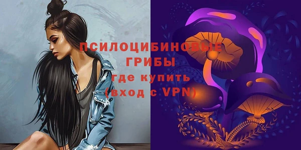 гидра Бронницы